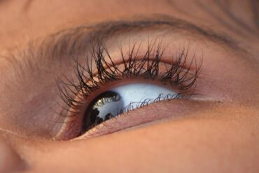 eye, eye lid, eye ball, eye hair, eye, eye ball, eye ball, eye ball, eye ball, eye ball