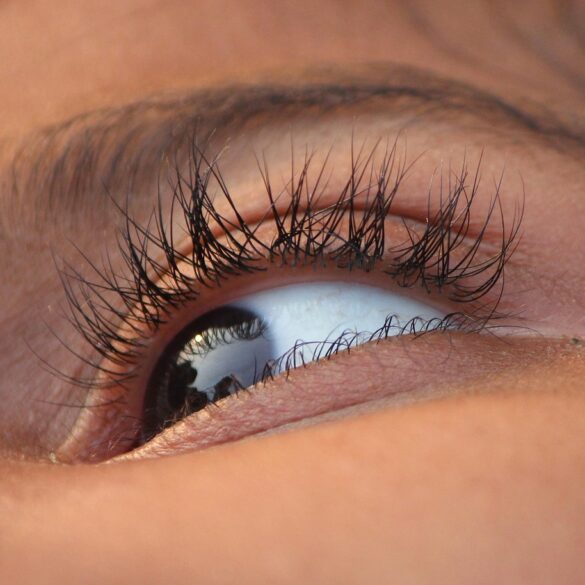 eye, eye lid, eye ball, eye hair, eye, eye ball, eye ball, eye ball, eye ball, eye ball