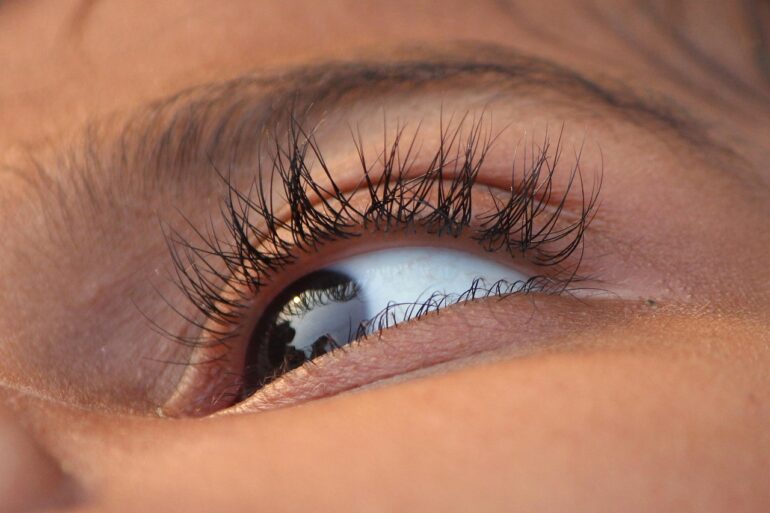 eye, eye lid, eye ball, eye hair, eye, eye ball, eye ball, eye ball, eye ball, eye ball